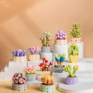 Potted Succulent Building Blocks