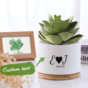 Ceramic Succulent Plant Pot