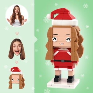 Christmas Gifts Custom Head Brick Figures