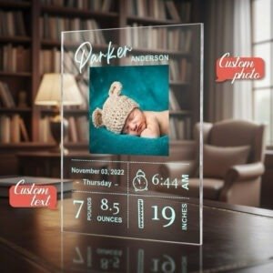 plaque-baby-birth-stats