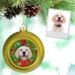 ornament-pet-photo-christmas