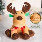 personalised-moose-plush-toy